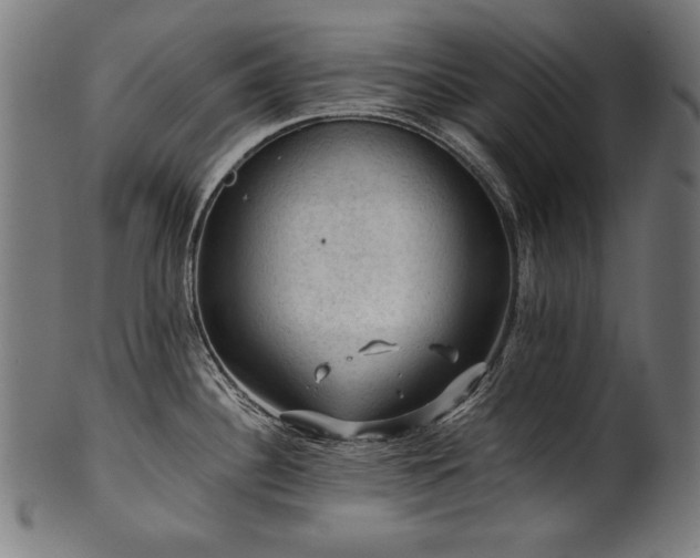X0000100951340200806241454