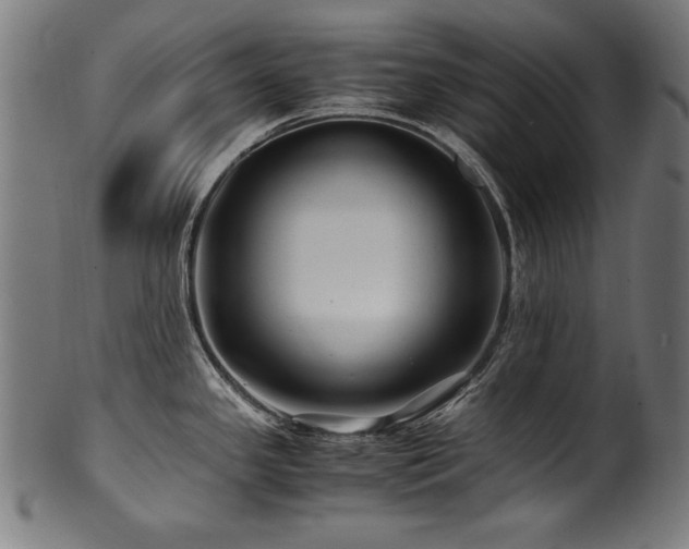 X0000100951341200806241454