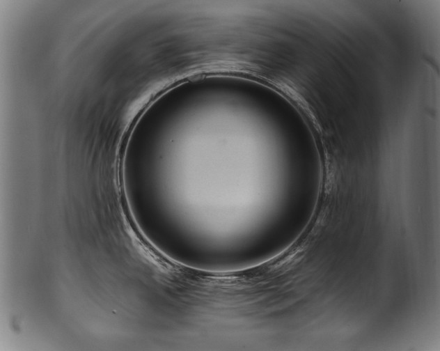 X0000100951342200806241454