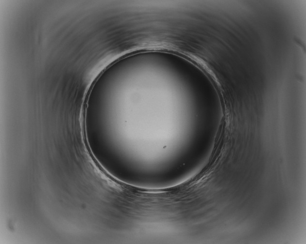 X0000100951343200806241454