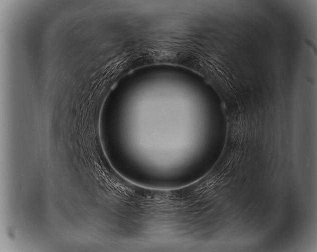 X0000100951345200806241454