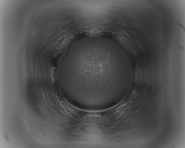 X0000100951346200806241454