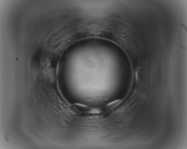 X0000100951347200806241454