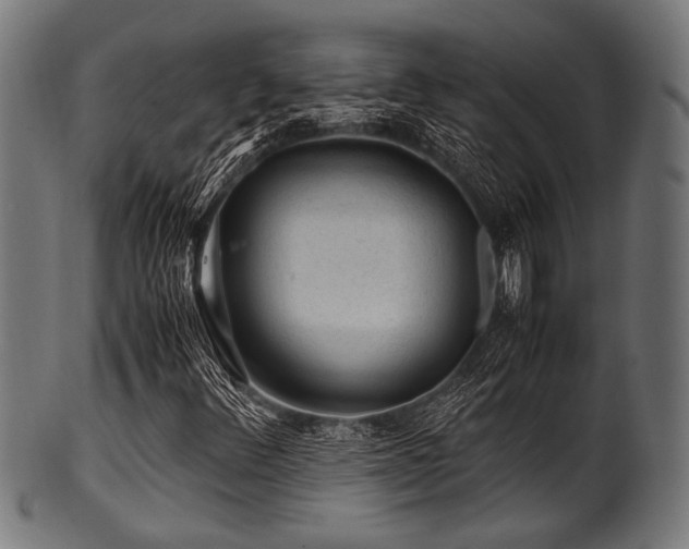 X0000100951348200806241454