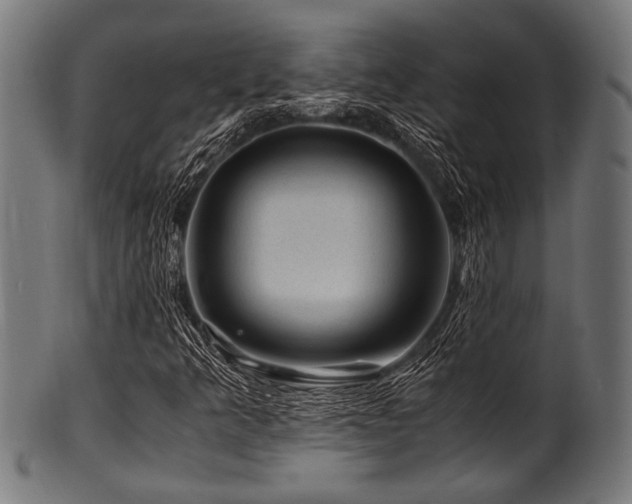 X0000100951349200806241454