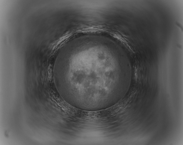 X0000100951350200806241454