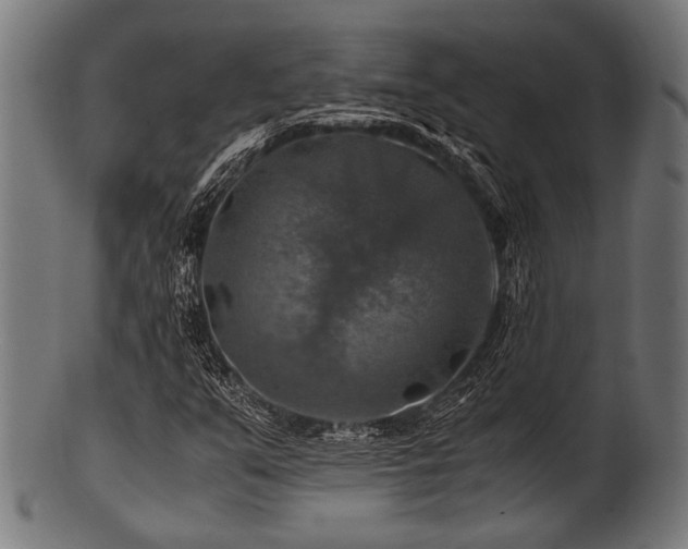 X0000100951351200806241454