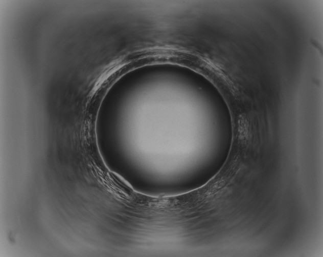 X0000100951352200806241454