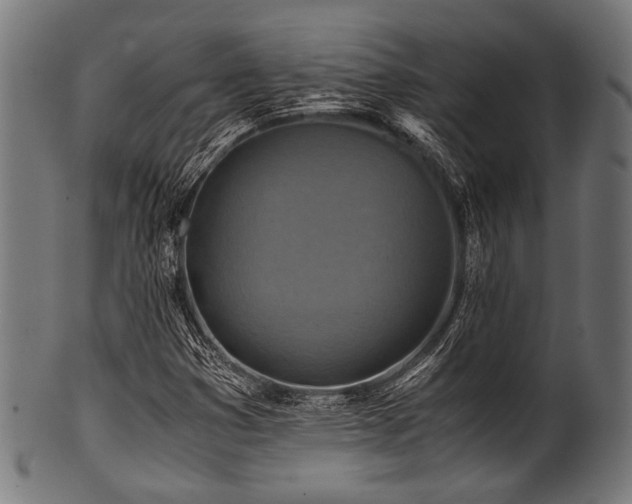 X0000100951353200806241454