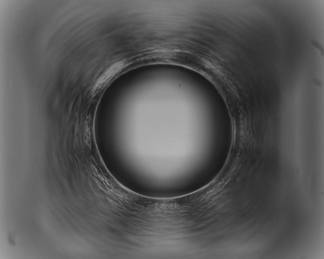 X0000100951354200806241454