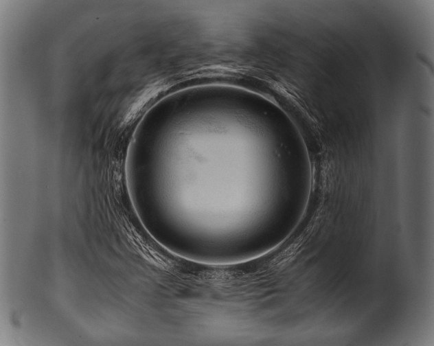 X0000100951355200806241454
