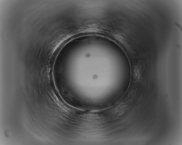 X0000100951356200806241453