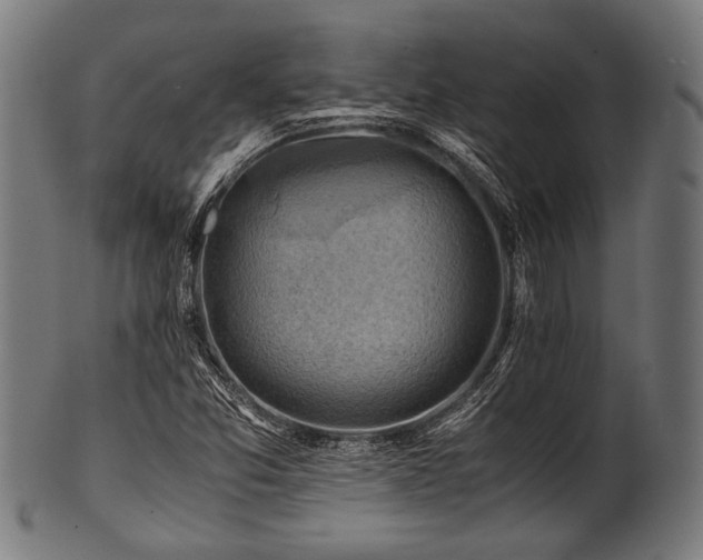 X0000100951357200806241453