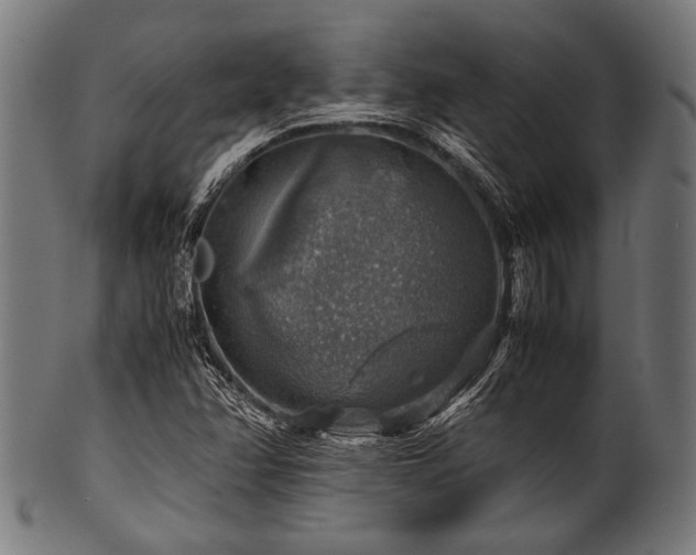 X0000100951358200806241453