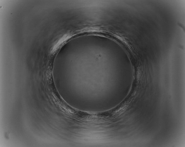 X0000100951359200806241453