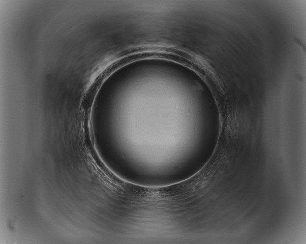 X0000100951360200806241453