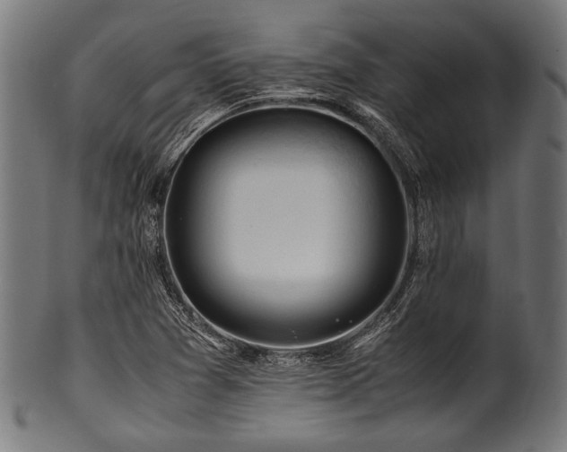 X0000100951361200806241453