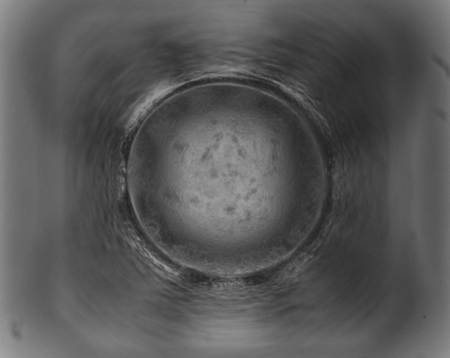 X0000100951363200806241453