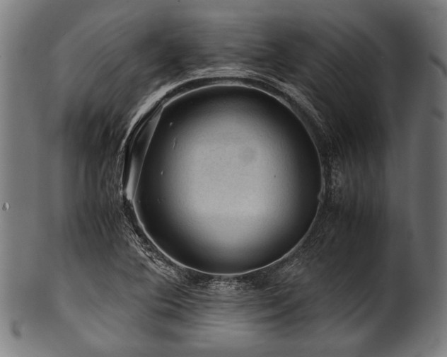 X0000100951364200806241453