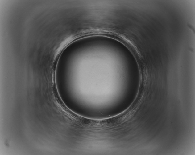 X0000100951365200806241453