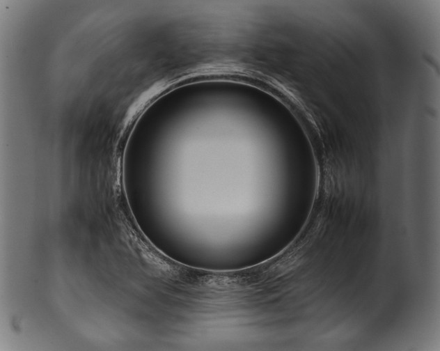 X0000100951366200806241453