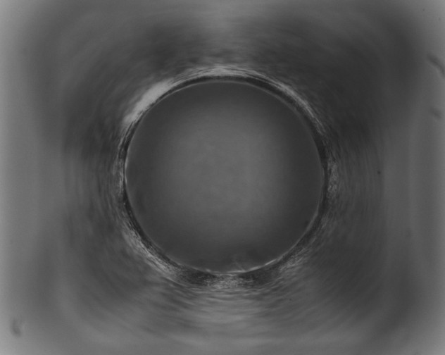 X0000100951367200806241453