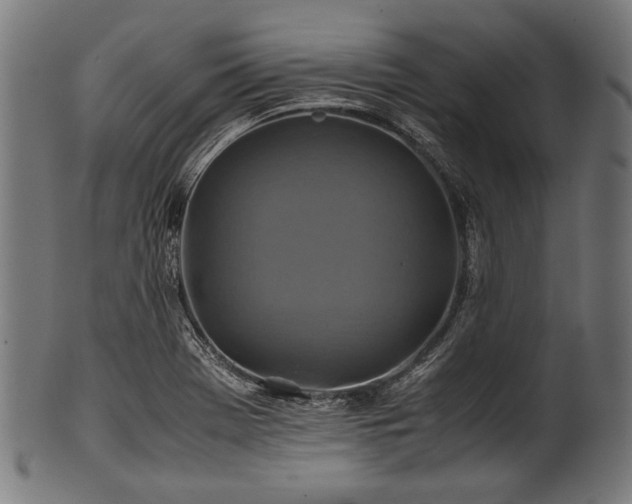 X0000100951369200806241453
