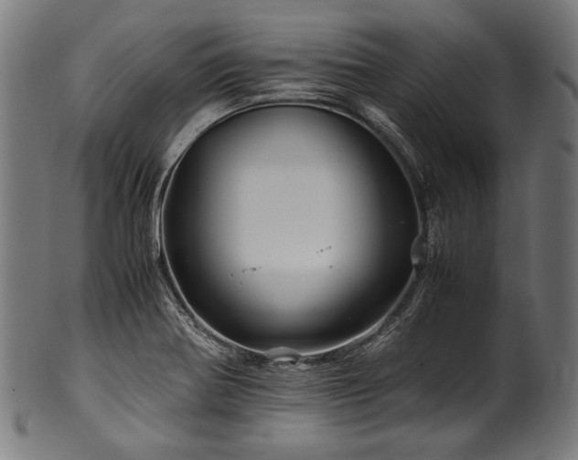 X0000100951370200806241453