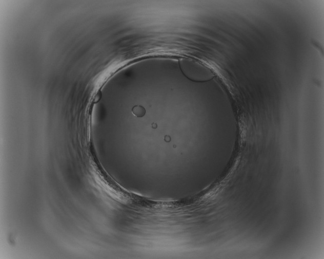 X0000100951371200806241453