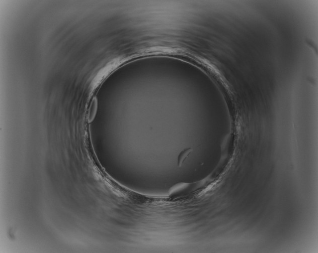 X0000100951373200806241453