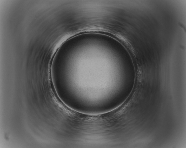 X0000100951374200806241453
