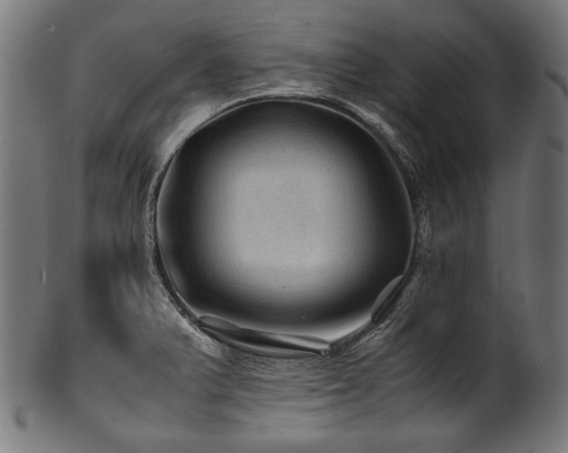 X0000100951375200806241453