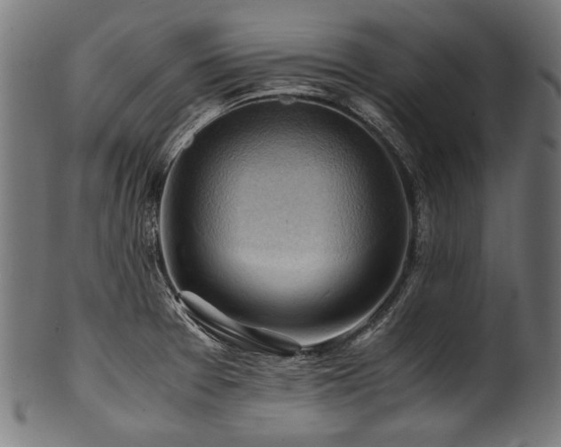 X0000100951377200806241453