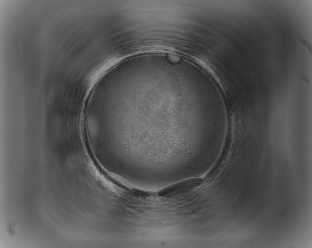 X0000100951379200806241453