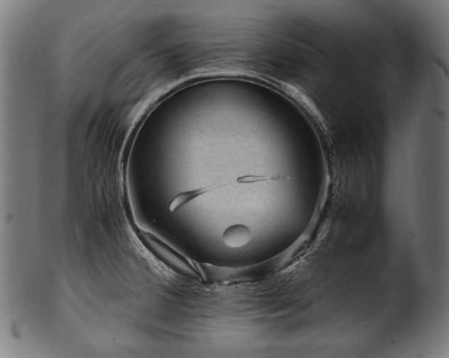 X0000100951380200806241453