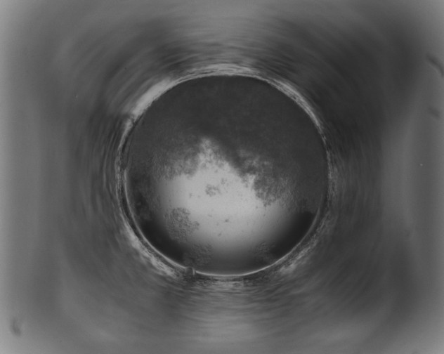 X0000100951381200806241453