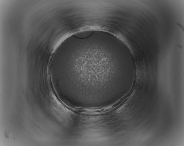X0000100951382200806241453