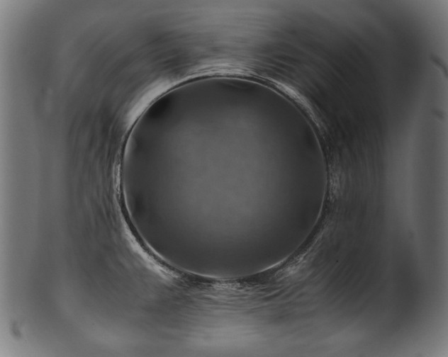 X0000100951383200806241453
