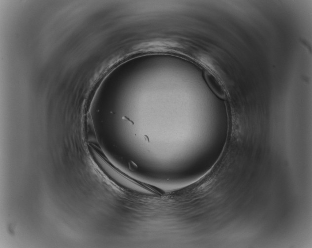 X0000100951384200806241453
