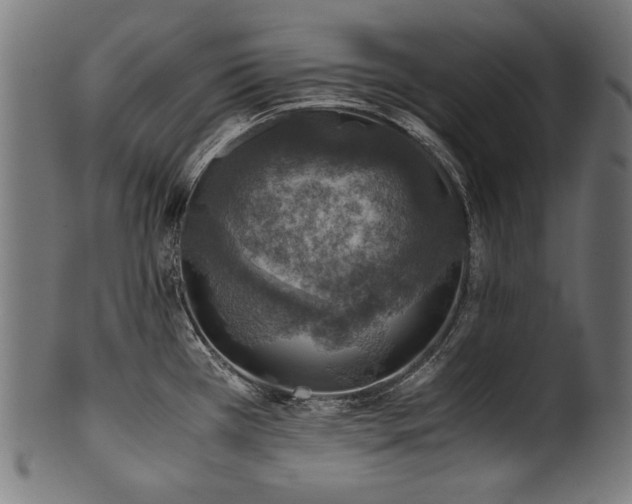 X0000100951385200806241453