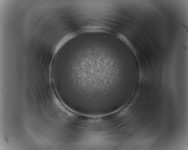 X0000100951386200806241453
