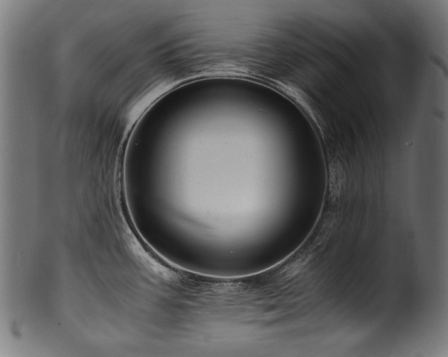 X0000100951387200806241453