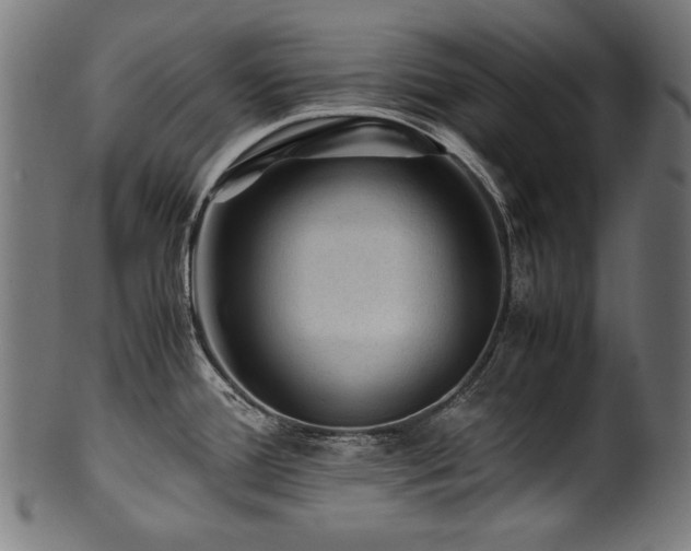 X0000100951388200806241453