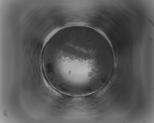 X0000100951389200806241453