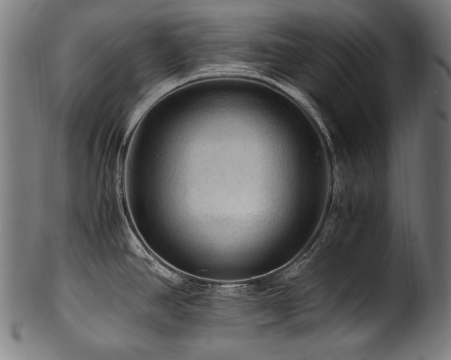 X0000100951390200806241453