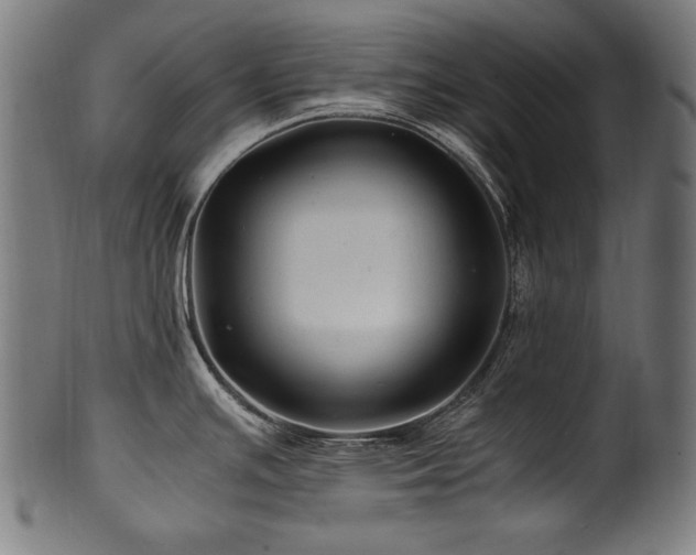 X0000100951391200806241453