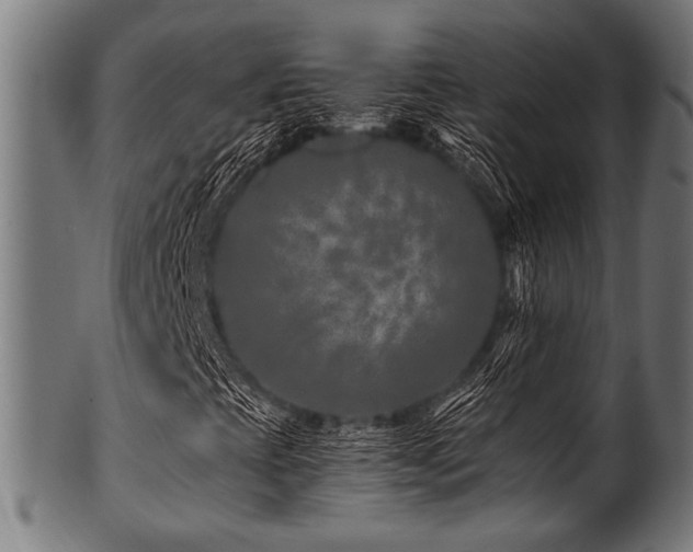 X0000100951393200806241452