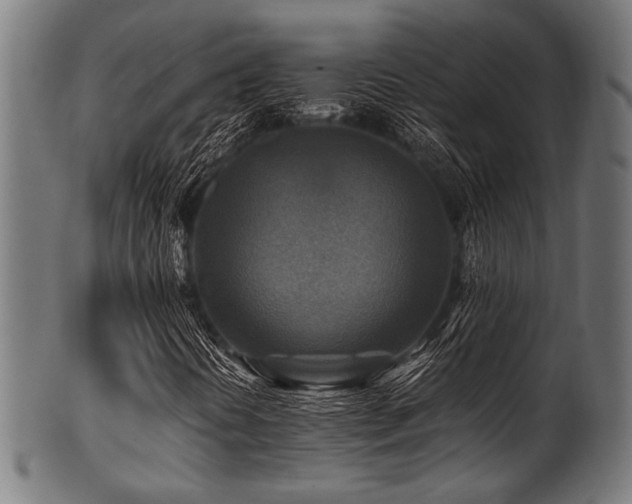 X0000100951394200806241452