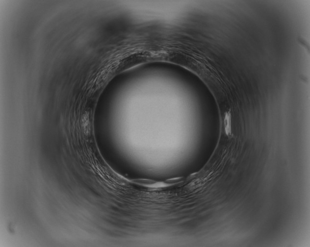 X0000100951395200806241452