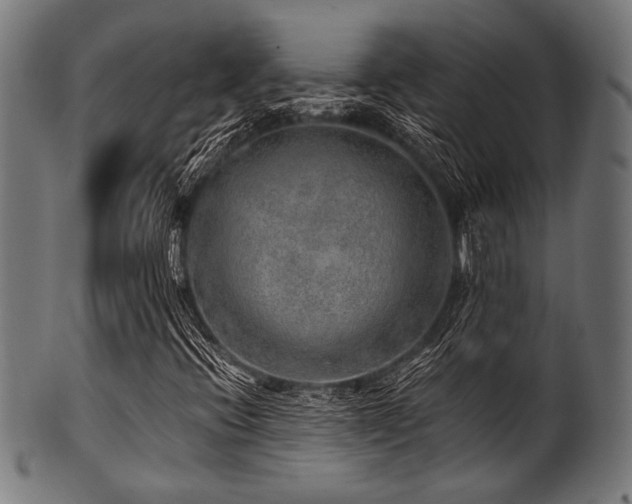 X0000100951396200806241452